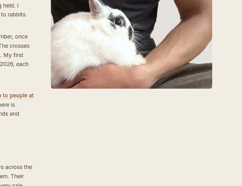 Before: the lower right of the front page on a computer, beside a photo, with no button there.